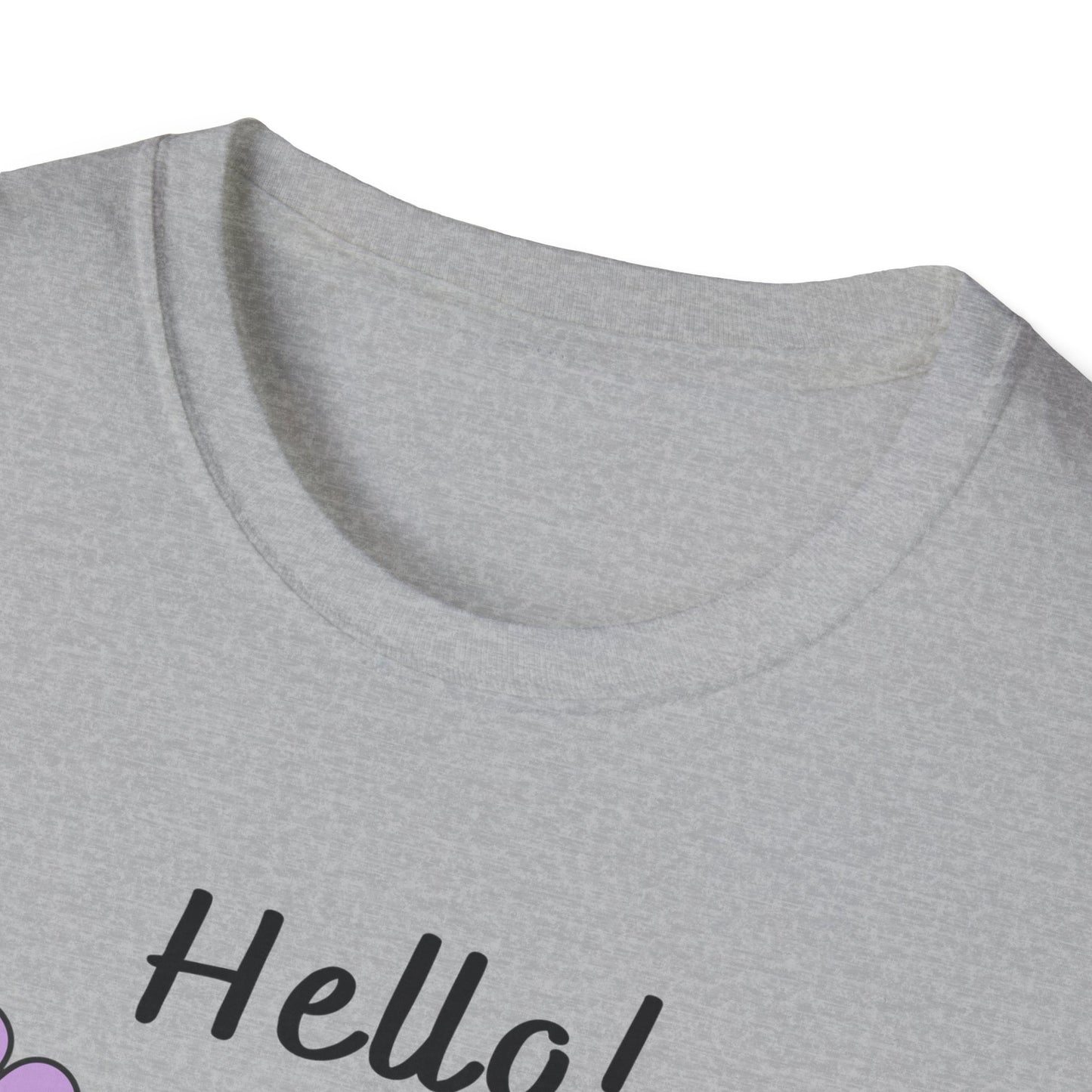 "Hello I'm Autistic Not Rude" Unisex Softstyle T-Shirt