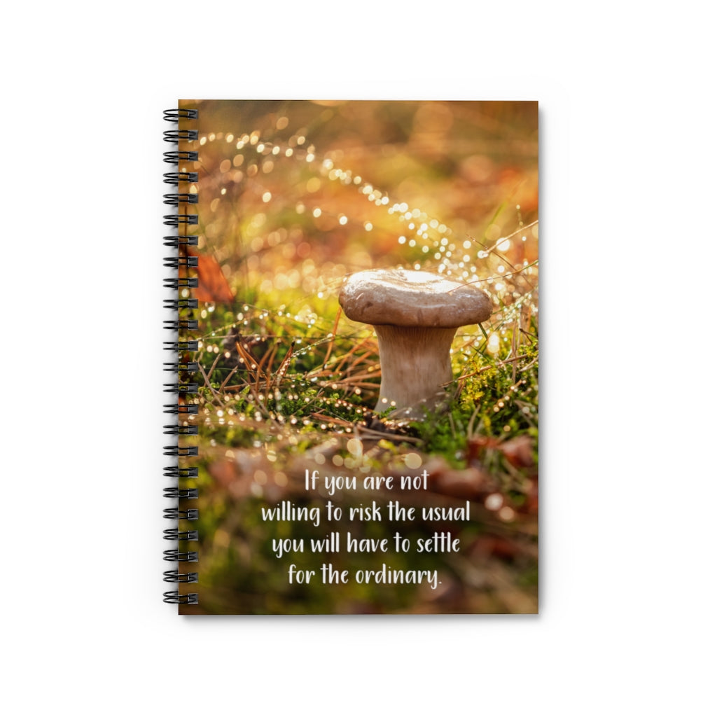 Risk The Usual Positive Spiral Notebook Journal