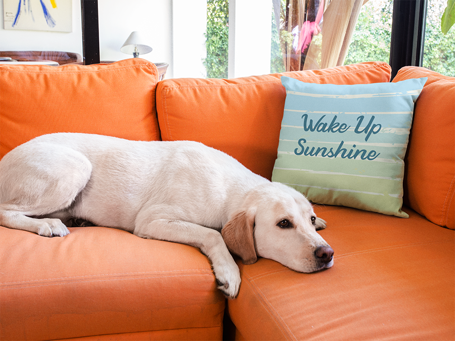 Wake Up Sunshine Beachy Decorative Pillow Cover